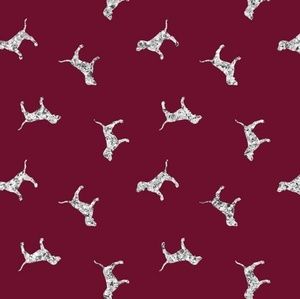 Meet your Posher, Brandi